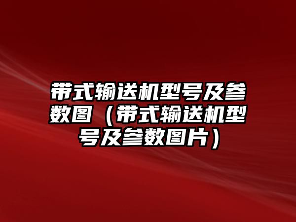 帶式輸送機型號及參數(shù)圖（帶式輸送機型號及參數(shù)圖片）