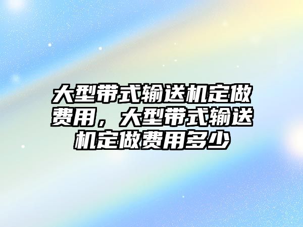 大型帶式輸送機定做費用，大型帶式輸送機定做費用多少