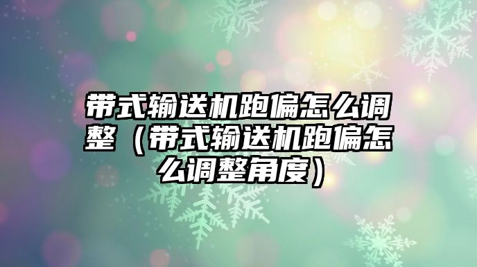 帶式輸送機(jī)跑偏怎么調(diào)整（帶式輸送機(jī)跑偏怎么調(diào)整角度）