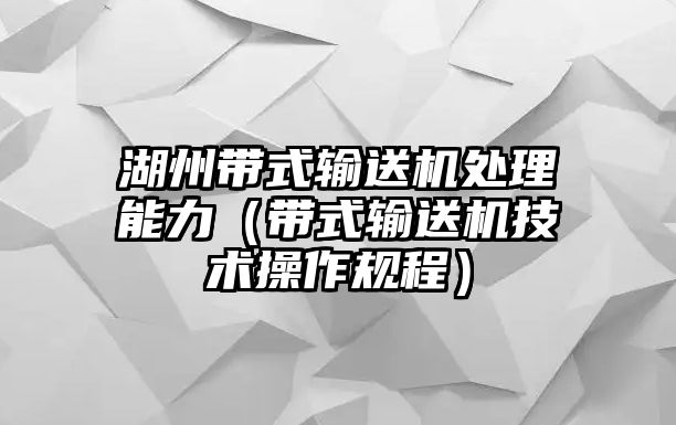 湖州帶式輸送機處理能力（帶式輸送機技術操作規(guī)程）