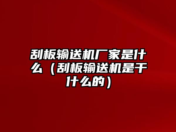 刮板輸送機廠家是什么（刮板輸送機是干什么的）