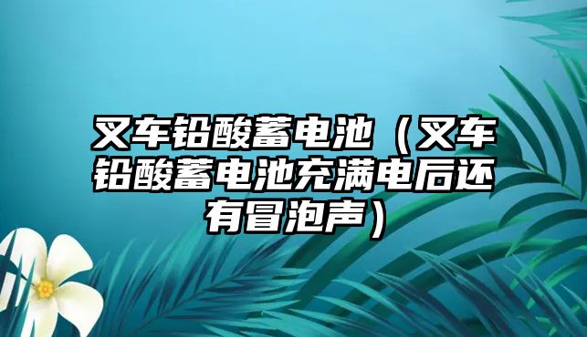 叉車鉛酸蓄電池（叉車鉛酸蓄電池充滿電后還有冒泡聲）