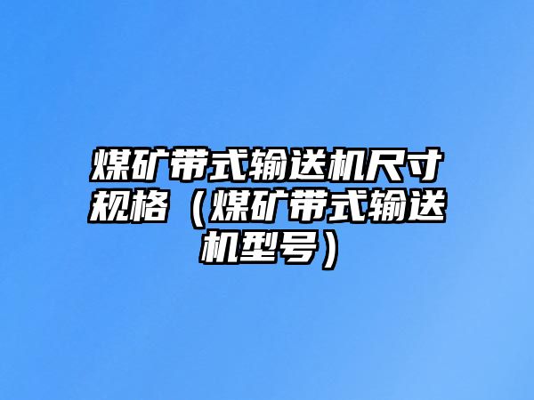 煤礦帶式輸送機(jī)尺寸規(guī)格（煤礦帶式輸送機(jī)型號(hào)）