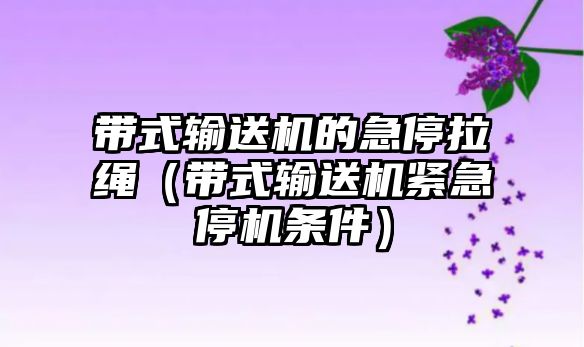 帶式輸送機的急停拉繩（帶式輸送機緊急停機條件）