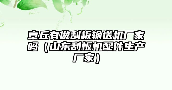 章丘有做刮板輸送機廠家嗎（山東刮板機配件生產(chǎn)廠家）