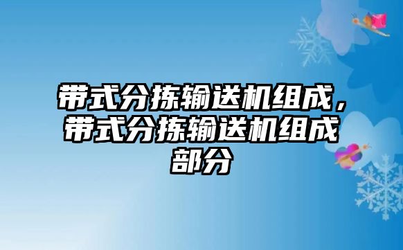 帶式分揀輸送機組成，帶式分揀輸送機組成部分