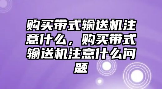 購(gòu)買帶式輸送機(jī)注意什么，購(gòu)買帶式輸送機(jī)注意什么問(wèn)題