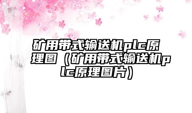 礦用帶式輸送機plc原理圖（礦用帶式輸送機plc原理圖片）