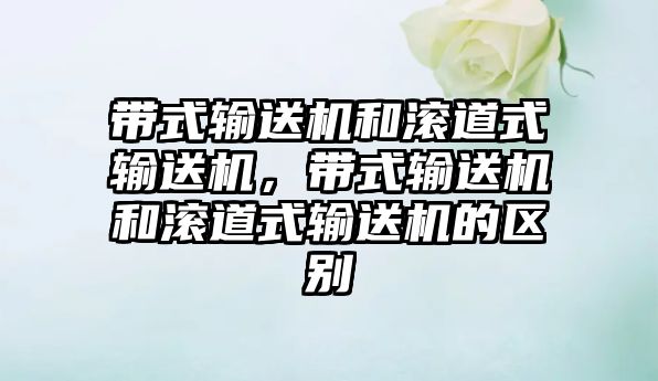 帶式輸送機和滾道式輸送機，帶式輸送機和滾道式輸送機的區(qū)別