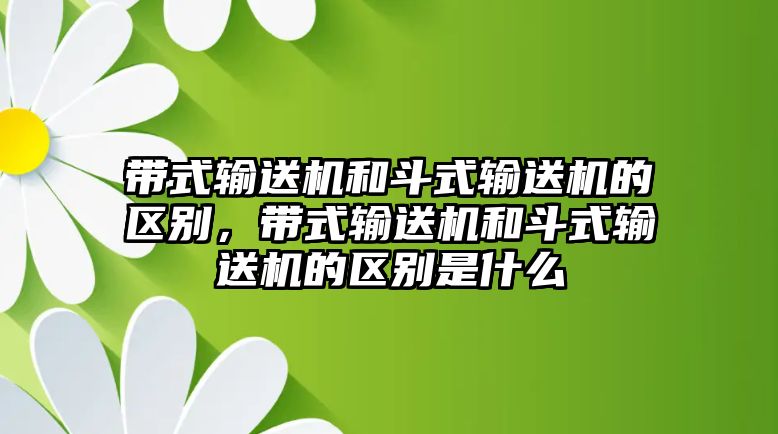 帶式輸送機和斗式輸送機的區(qū)別，帶式輸送機和斗式輸送機的區(qū)別是什么