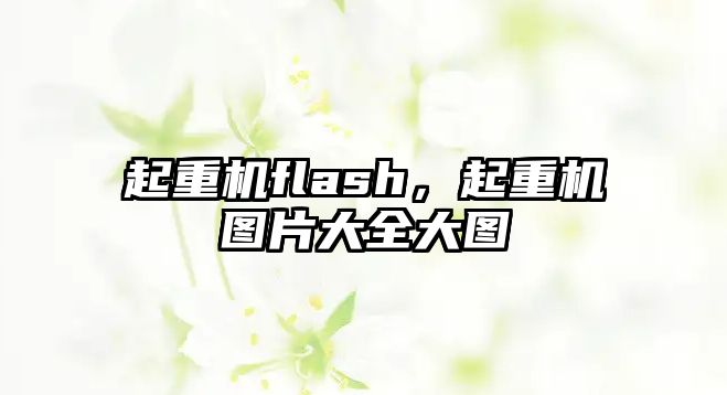 起重機(jī)flash，起重機(jī)圖片大全大圖