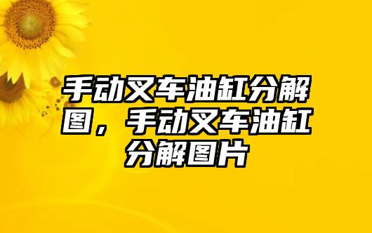 手動叉車油缸分解圖，手動叉車油缸分解圖片