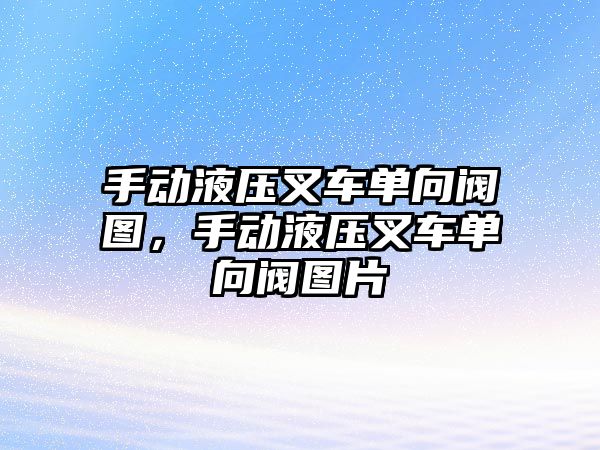 手動液壓叉車單向閥圖，手動液壓叉車單向閥圖片