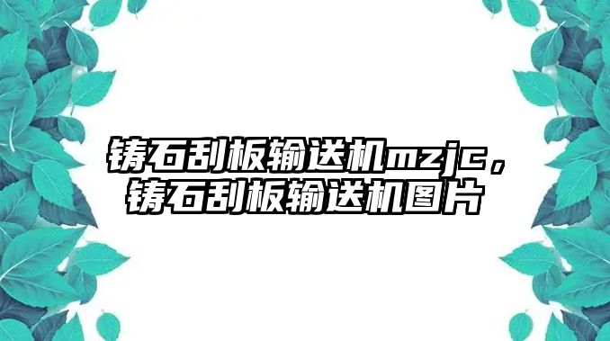 鑄石刮板輸送機mzjc，鑄石刮板輸送機圖片