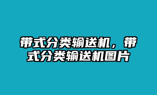 帶式分類輸送機，帶式分類輸送機圖片