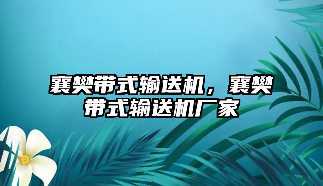 襄樊帶式輸送機，襄樊帶式輸送機廠家