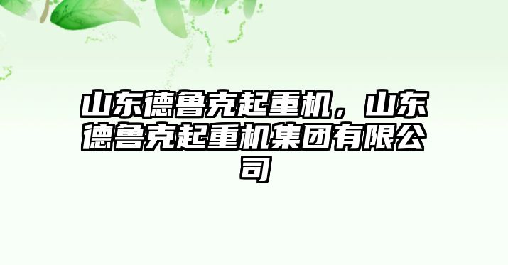 山東德魯克起重機(jī)，山東德魯克起重機(jī)集團(tuán)有限公司