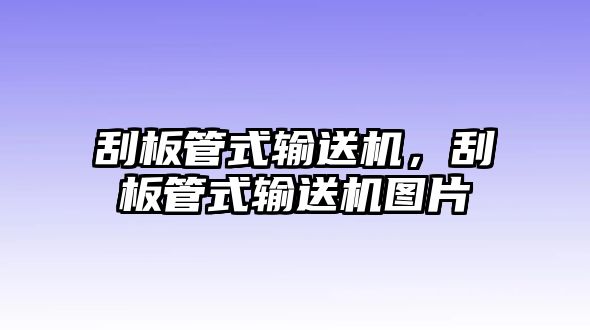 刮板管式輸送機(jī)，刮板管式輸送機(jī)圖片