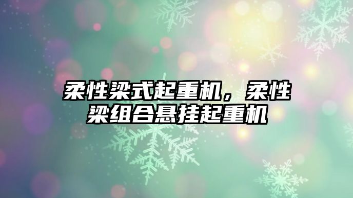 柔性梁式起重機，柔性梁組合懸掛起重機