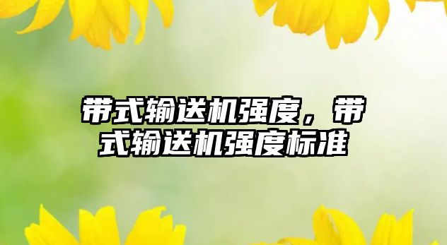 帶式輸送機強度，帶式輸送機強度標(biāo)準(zhǔn)