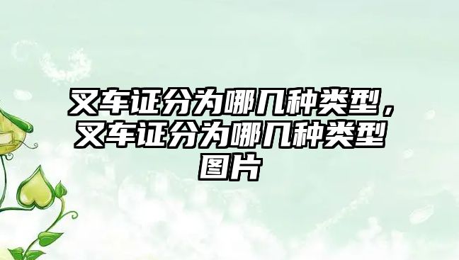 叉車證分為哪幾種類型，叉車證分為哪幾種類型圖片