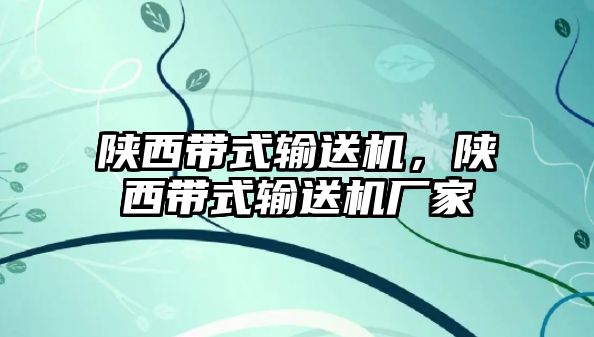 陜西帶式輸送機，陜西帶式輸送機廠家