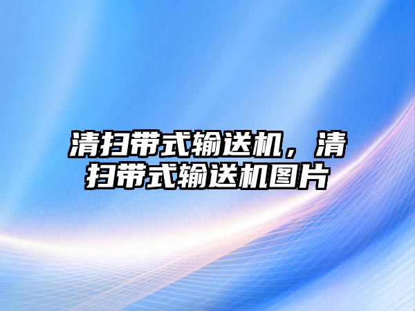 清掃帶式輸送機，清掃帶式輸送機圖片