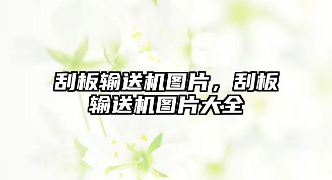 刮板輸送機圖片，刮板輸送機圖片大全