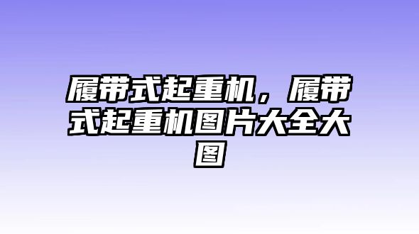 履帶式起重機(jī)，履帶式起重機(jī)圖片大全大圖