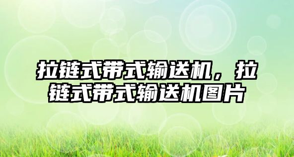 拉鏈?zhǔn)綆捷斔蜋C(jī)，拉鏈?zhǔn)綆捷斔蜋C(jī)圖片