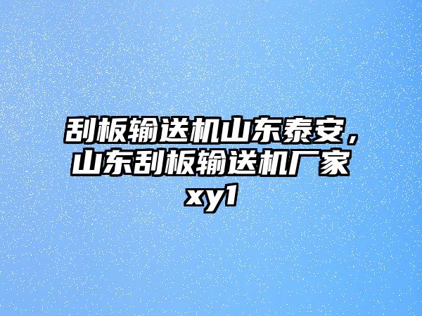 刮板輸送機(jī)山東泰安，山東刮板輸送機(jī)廠家xy1