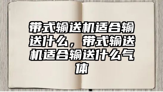 帶式輸送機(jī)適合輸送什么，帶式輸送機(jī)適合輸送什么氣體