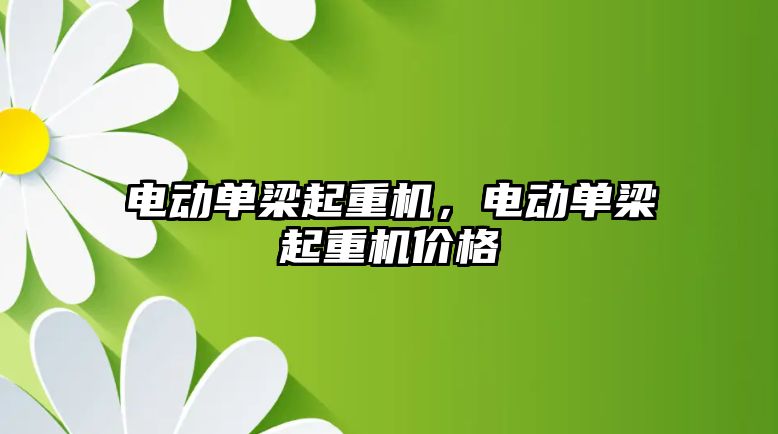 電動單梁起重機，電動單梁起重機價格