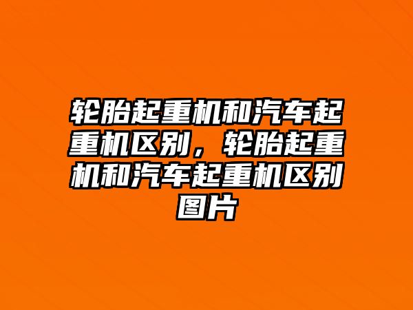 輪胎起重機和汽車起重機區(qū)別，輪胎起重機和汽車起重機區(qū)別圖片