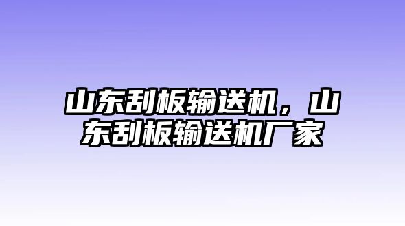 山東刮板輸送機(jī)，山東刮板輸送機(jī)廠家